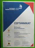 Сртификат эксперта III Регионального чемпионата "Молодые профессионалы" 2016 в Кемеровской обрасти по компетенции "Педагог-организатор досуговой деятельности"