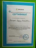 Сертификат "Образование в эпоху цифровой экономики: смешанное обучение для современных образовательных задач СПО с использованием ресурсов системы "Мобильное Электронное Образование"